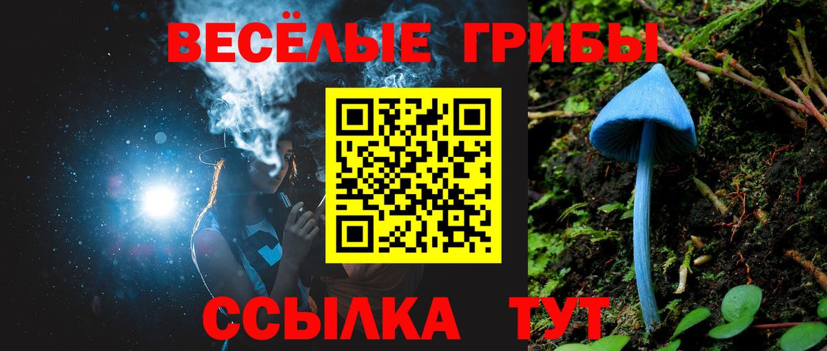 Псилоцибиновые грибы MAGIC MUSHROOMS Белогорск