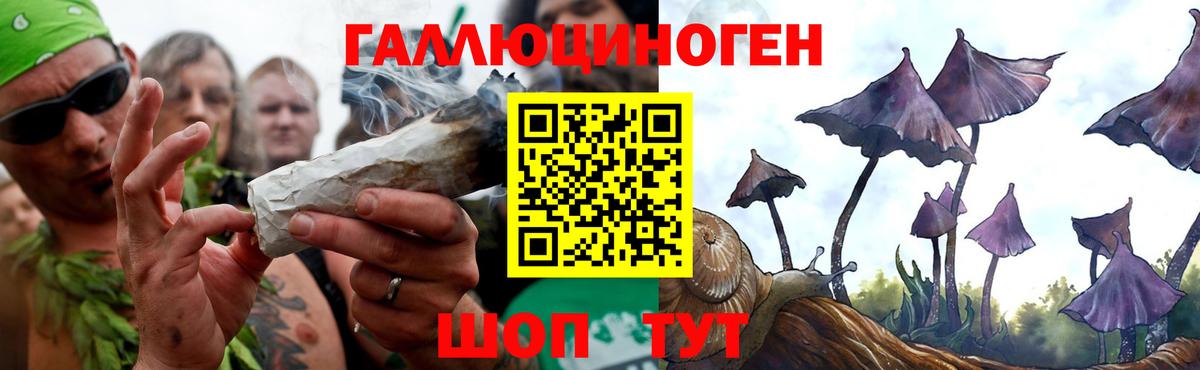 Белогорск  Галлюциногенные грибы прущие грибы  Вход с VPN 